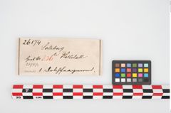 Etikett zu Bimetallantennendolch (NHMW-PRAE-026174)